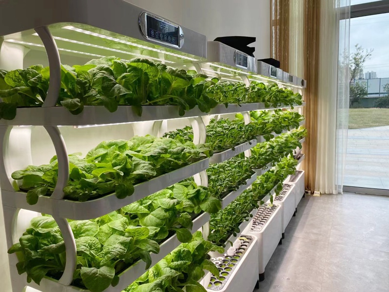 and Vertical Greenhouse Comple - Smart Garden Vertical Planter recension och pris
