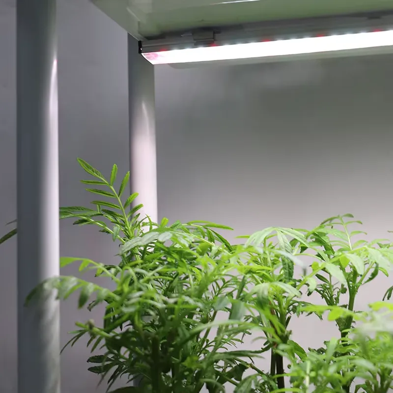 Movable Vertical Grow 3 Level  - Smart Garden Vertical Planter recension och pris