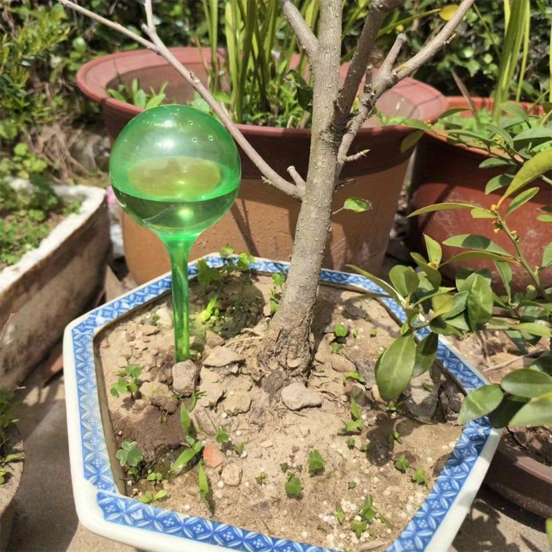 6PCS Indoor Plants Self Wateri - Smart Garden Herb recension och pris
