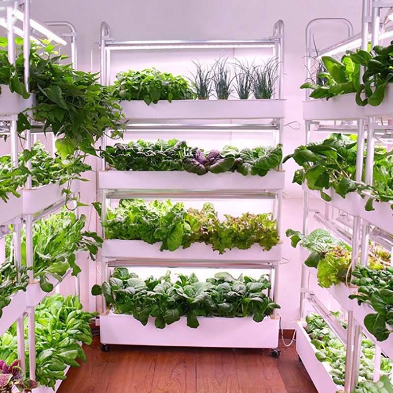 Hydroponics Growing System Ver - Smart Garden Vertical Planter recension och pris