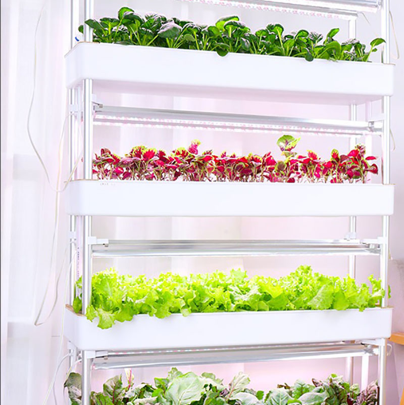 Hydroponics Growing System Ver - Smart Garden Vertical Planter recension och pris