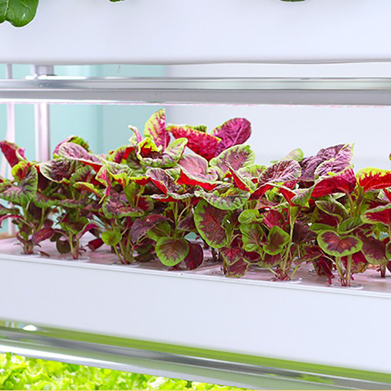 Hydroponics Growing System Ver - Smart Garden Vertical Planter recension och pris