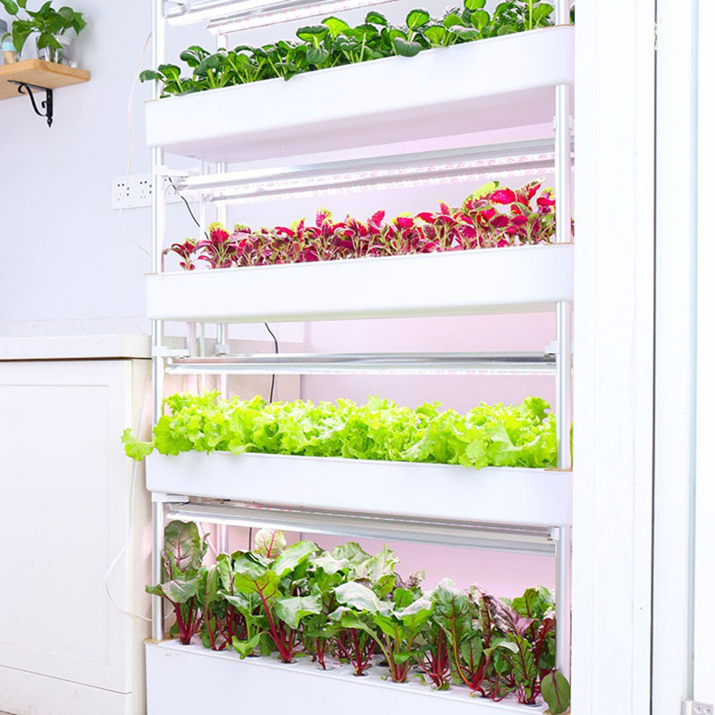Hydroponics Growing System Ver - Smart Garden Vertical Planter recension och pris