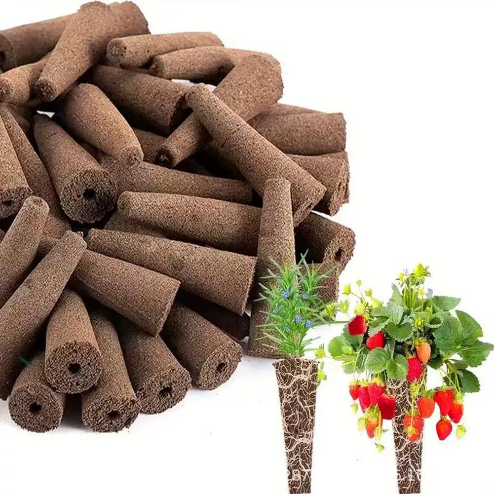 50Pcs Seed Grow Sponges Replac - Aerogarden Seed Pod recension och pris