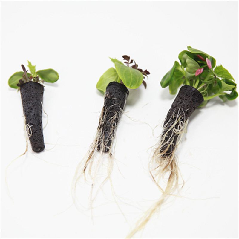 50/100pcs Plant Grow Basket Fo - Aerogarden Seed Pod recension och pris