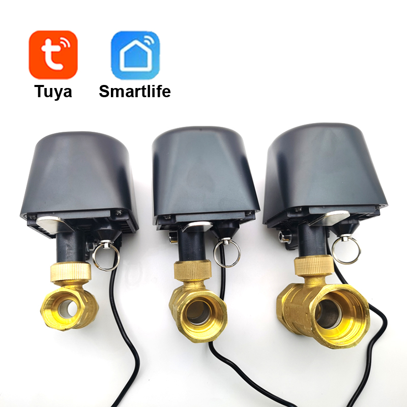 Tuya WiFi or Zigbee Water Valv - Smart Garden Home recension och pris